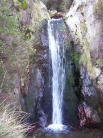 Irustako Urjauzi txikia