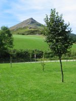 Lizarmeakako parketik ikusita