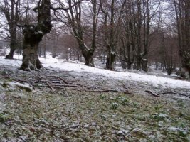 Ugaztegitik Degurixara bidean