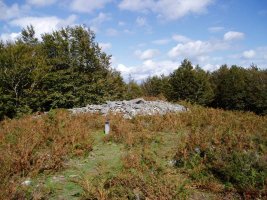 Arrobigaña trikuharria