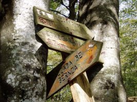 Seinaleak Intsusburu eta Argonitz artean