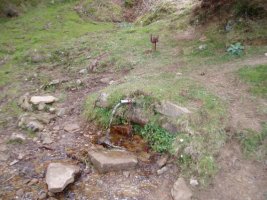 Iturria Barrendiolatik igotzen den bidearen ondoan