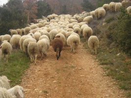 Atalarantzako igoera lasaigarria