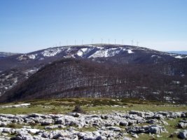 Otsoarrate lepotik ikusita