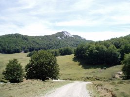 Ipar-mendebaldetik ikusita