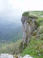 Amildegia tontorrean