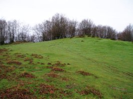 Kurutzebakar: tontorra eta inguruko larreak