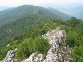 Mendebaldeko ikuspegia