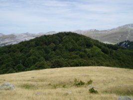 Oburu hegoaldetik ikusita