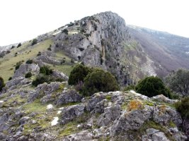 Iparraldeko gandorraren ikuspegia