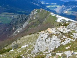 Iparraldeko gandorra tontorretik