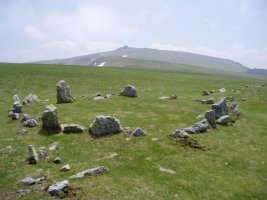 Ilharritako mairubaratzak, atzean Okabe