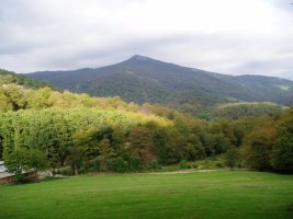 Lizarrustitik ikusita