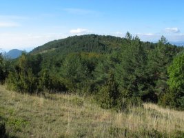 Illon aldetik ikusita