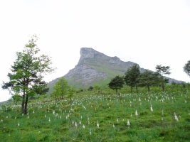 Iparrekialdetik ikusita