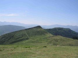 Trasmosomos Espaldasecatik