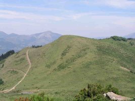 Espaldaseca Trasmosomostik