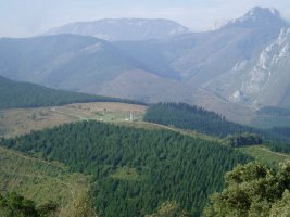 Besaide Udalaitzera igotzen den bidetik ikusita