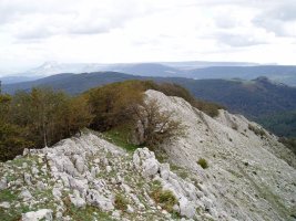 Hegoekialdera ikuspegia