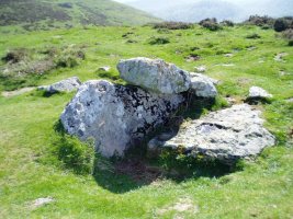 Soroluzeko trikuharria