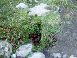 Iturria Andraitzeko lepora igotzen den bidean