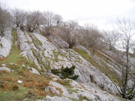 Karst eremuko arrakalak Iturriotzeko lepotik igotzen den bidean
