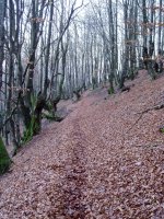 Biozkorniatik Intzuzaeta lepora jaisten den bidea