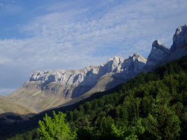 Alanoak Zurizatik ikusita