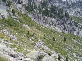 Restanca aintziraren inguruan