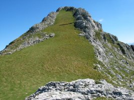 Mendebaldeko gandorra