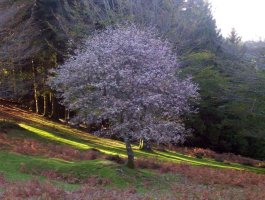 Udazkena Bianditz aldean