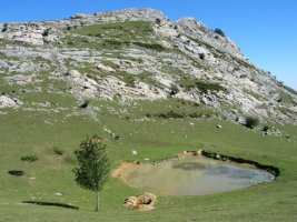 Erlo eta Xoxote inguruan dagoen uharka