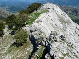 Tontorretik Iparraldera luzatzen den gandorra