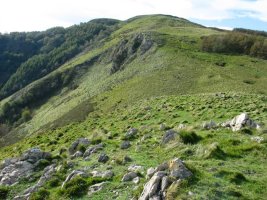 Olarteta, Aia aldeko bizkarretik ikusita