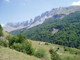 Alanoak Zurizatik ikusita