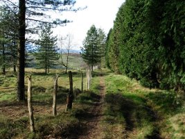 Uzturre aldera doan bidea Loaga aldean