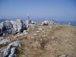 Kurtzezarren tontorra