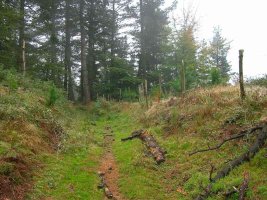 Ascendemos pegados a la valla.