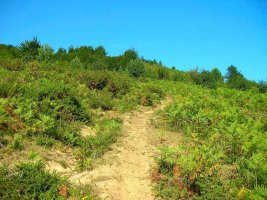 La pendiente es bastante acusada.