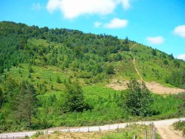 Sin embargo antes de ascender al Arralde hay que pasar primero por el Bastelarra.