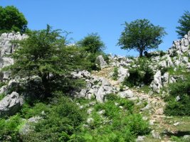 Iparraldetik inguratzen duen bidea