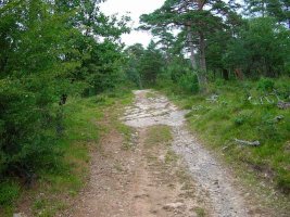Desde el collado tomamos a la izquierda el sendero.