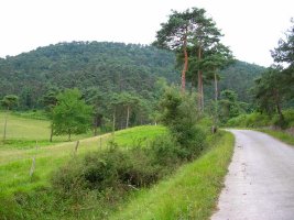 Acercandonos a la base del Babio.