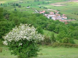 Pueblecito de Aloria.