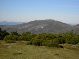 Tontorra. Atzekaldean, Odoriaga