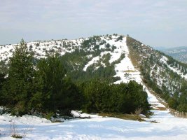 La ya cercana cumbre de Cantoblanco.
