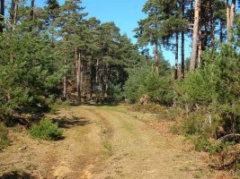 El termino de Despeñadero,muy proximo a la cumbre.