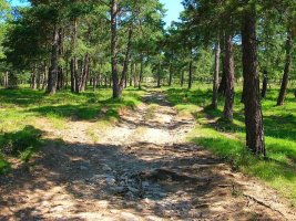 Giramos a la derecha desde el collado directos a la cumbre.
