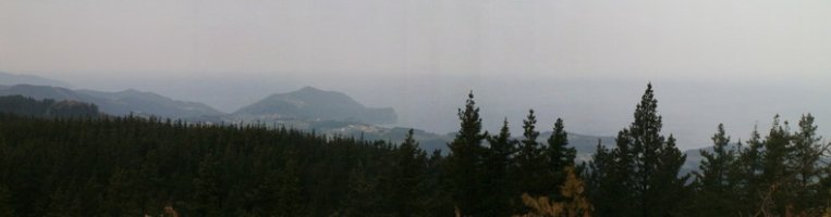 Kostaldea piñuak estaltzen dute