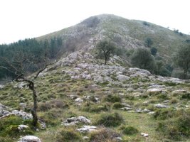 Mendebaldeko lepotik